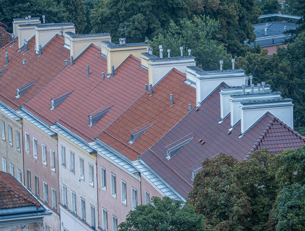 Roofs in line by haskar