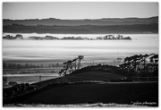 30th Aug 2023 - B&W Fog and Silhouette's