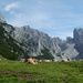 Alpine Scene by cmp