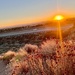 Pelona Vista Sunrise
