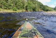 13th Aug 2023 - RAPIDLY DESCENDING THE SPEY