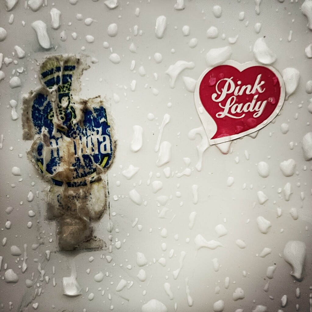 Pink Lady & Chiquita by mastermek