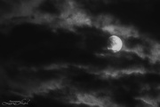 28th Aug 2023 - Cloudy Moonrise