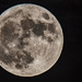Tonight's Full/Blue Moon! by rickster549