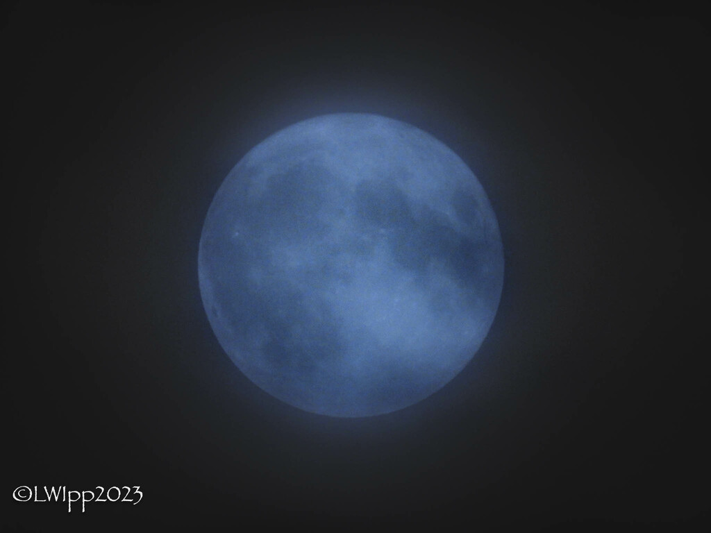 Super Blue Moon 2023  by lesip