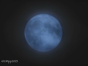 30th Aug 2023 - Super Blue Moon 2023 