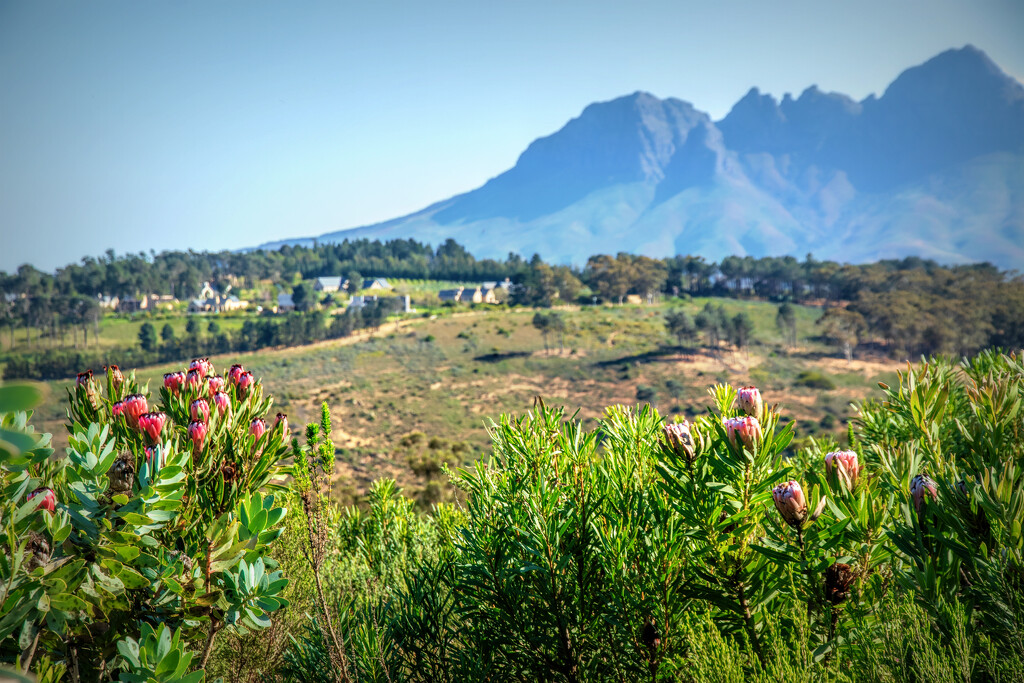On the other side of the Helderberg by ludwigsdiana