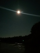 30th Aug 2023 - Supermoon as Captured by My Phone