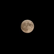28th Aug 2023 - #204 - Full moon