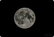 31st Aug 2023 - Blue Moon (hand held)