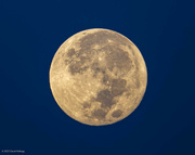 31st Aug 2023 - Last night's Super Blue Moon