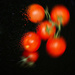 Tomatoes  by jacqbb