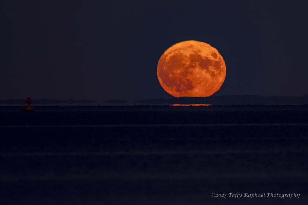Super Blue Moon Rises Over Lake Michigan by taffy