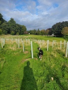 21st Aug 2023 - Shades of Green