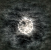 31st Aug 2023 - Blue moon 