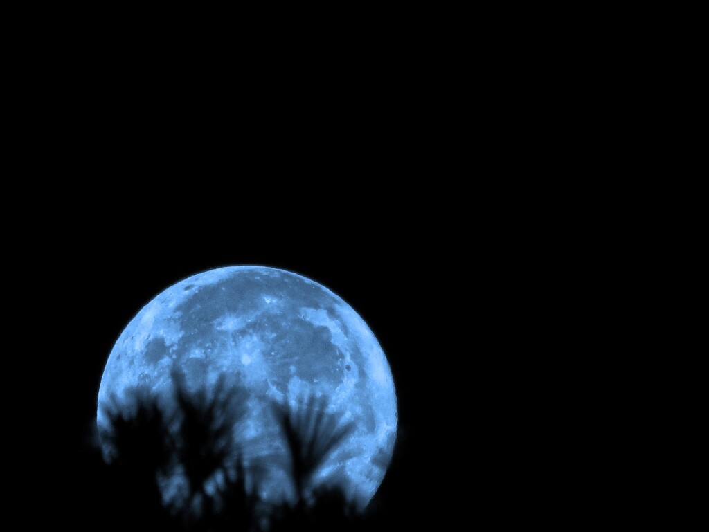 Obligatory Moon by grammyn