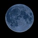 Super Blue Moon by olivetreeann