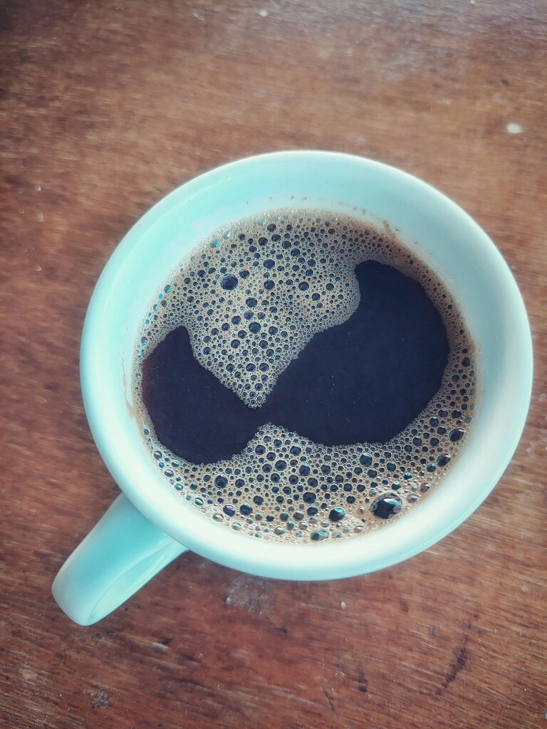 Alien or Spiderman coffee? by monikozi