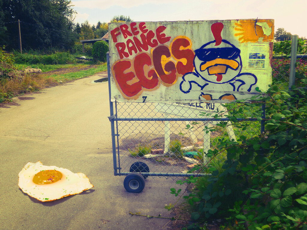 So hot you could fry an egg on the road.  by cdcook48