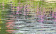 31st Aug 2023 - Water Abstract