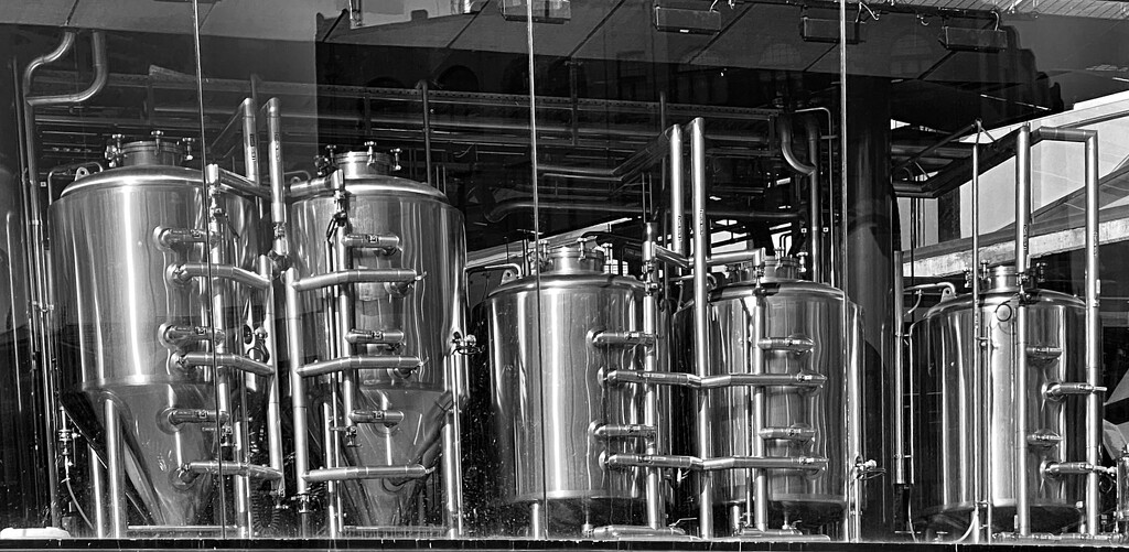 The beer here really is freshly brewed! Pub and brewery at Squires Landing, Sydney by johnfalconer