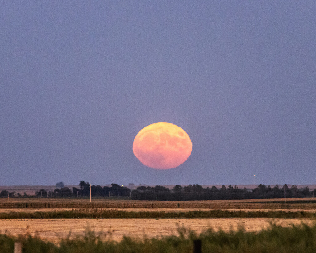 super blue moon by aecasey