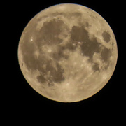 31st Aug 2023 - Once in a Super Blue Moon
