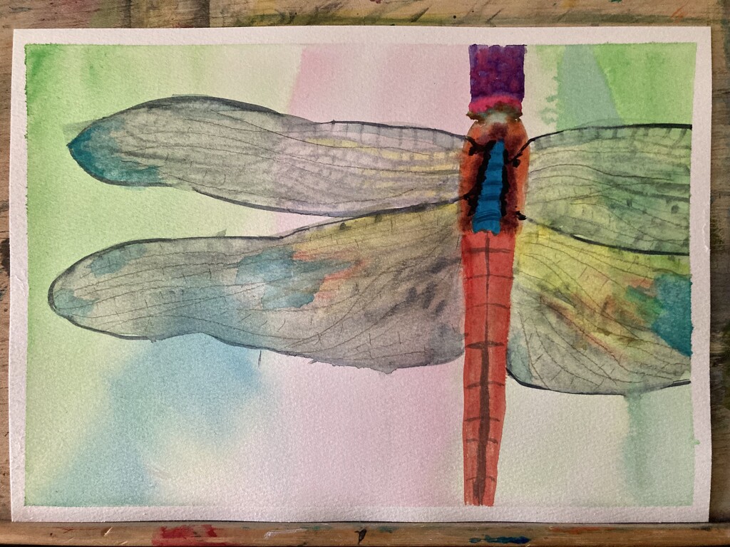 Dragonfly by artsygang