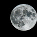 Full moon by larrysphotos