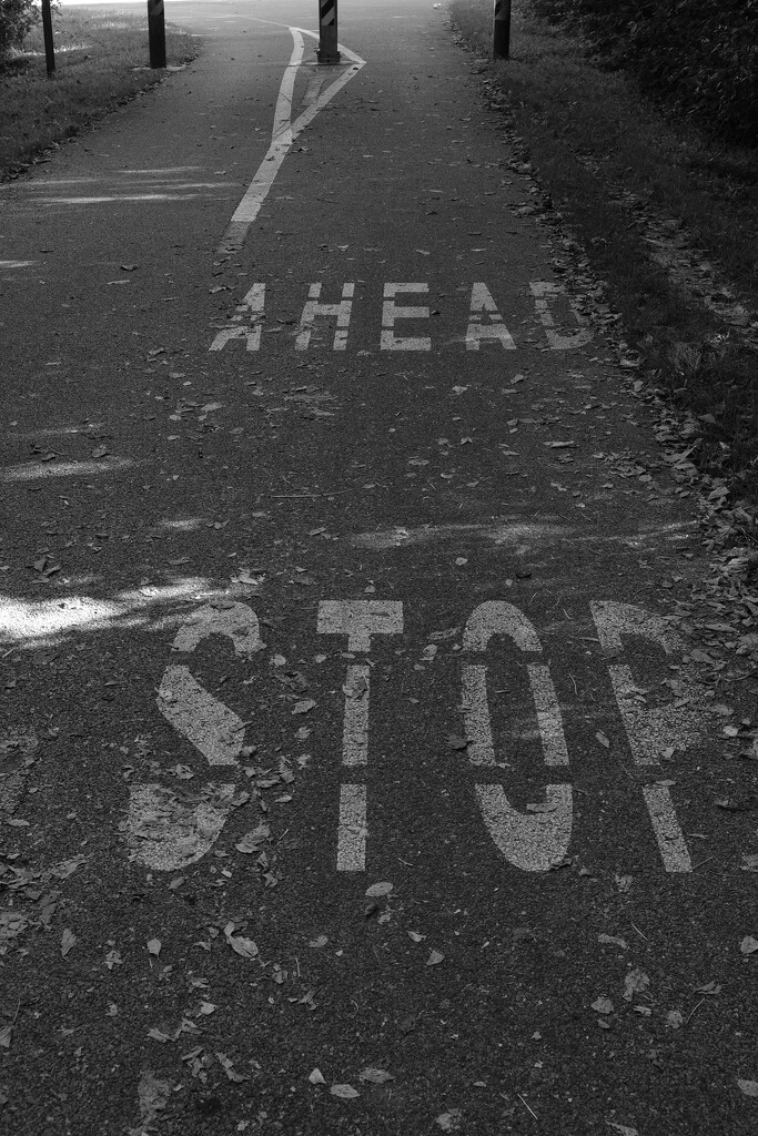 Stop Ahead - NF-SOOC by lsquared