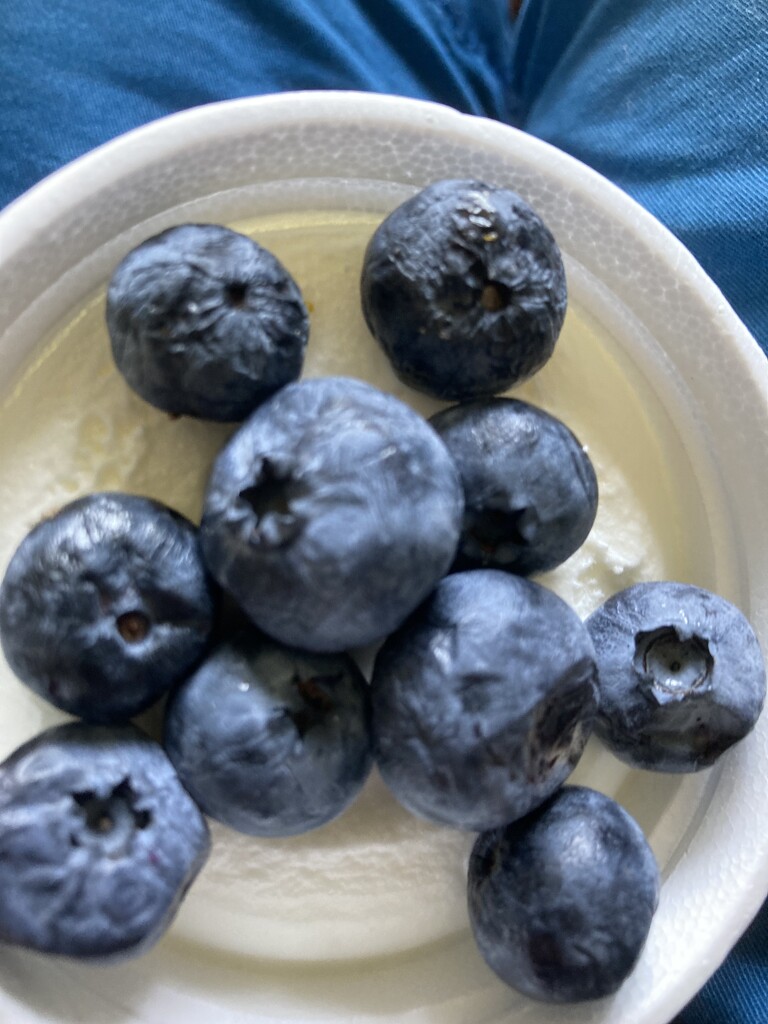 Blueberries and Ice Cream  by spanishliz
