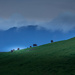 Blue hour and the Kaimai Ranges by yorkshirekiwi