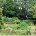 Tiered Gardens, Danby  by fishers