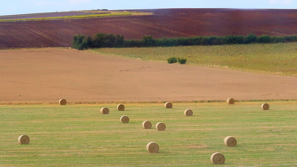 Rural Hertfordshire.........865 by neil_ge