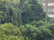 2nd Sep 2023 - Raining