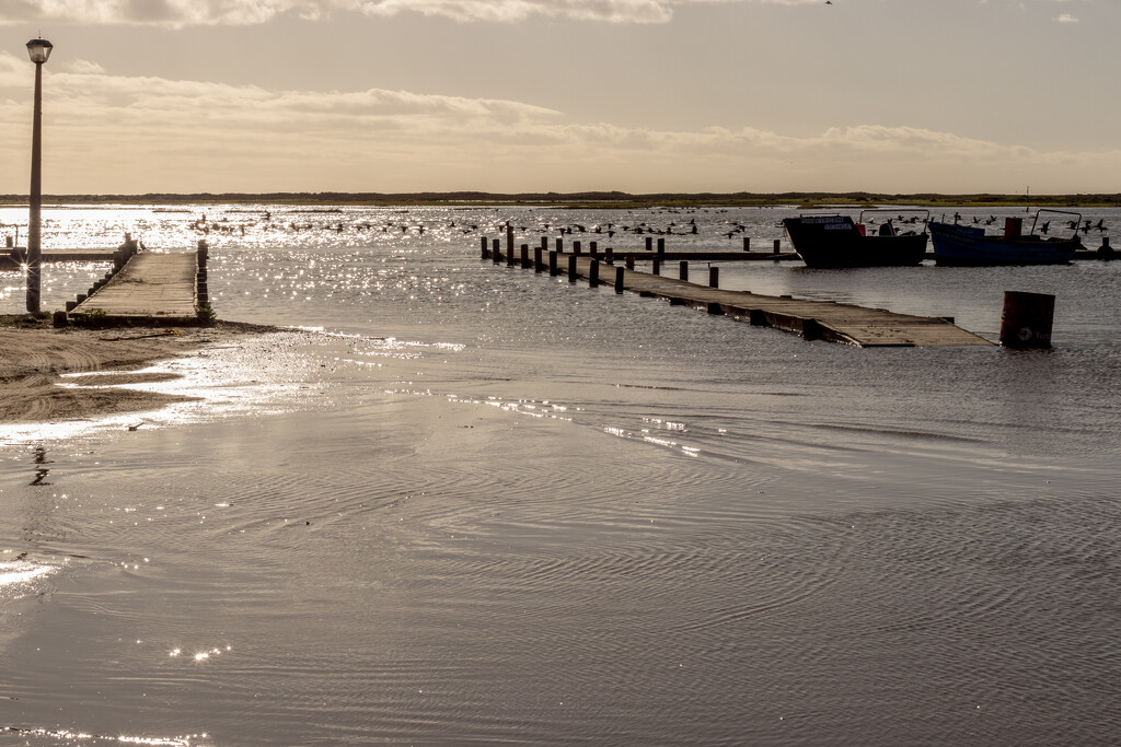 Super Moon - Super High Tide by seacreature