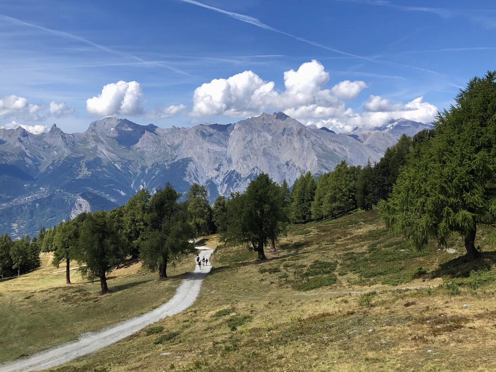 A stroll in the Alps by clearlightskies