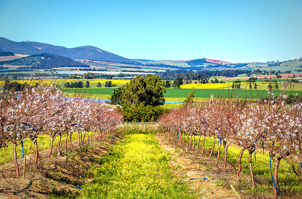 Colourful landscape by ludwigsdiana