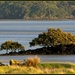 Manukau Harbour by dide