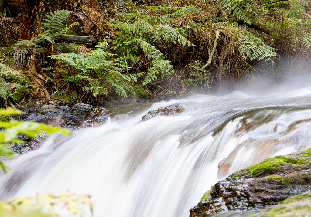 Kerosene Creek by sandradavies