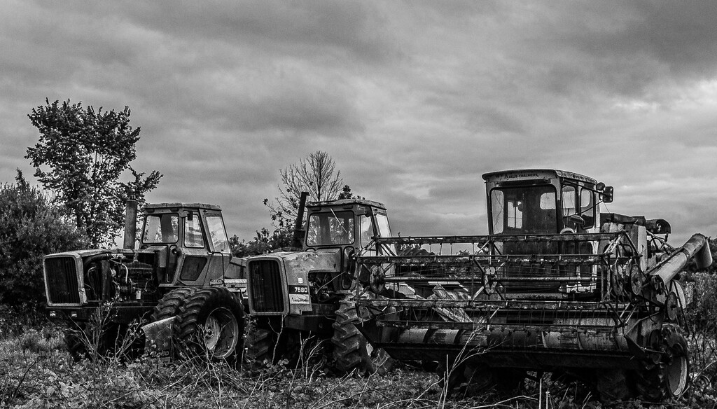 Harvester and friends by darchibald