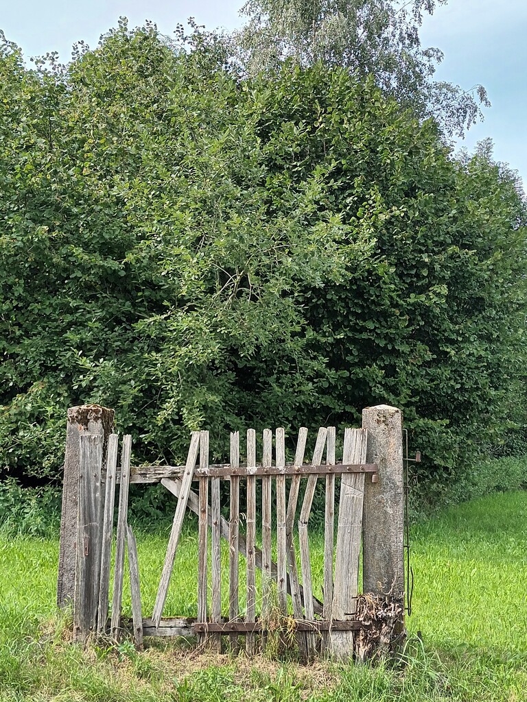  This gate has stood in a meadow by cordulaamann
