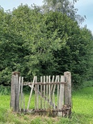 3rd Sep 2023 -  This gate has stood in a meadow