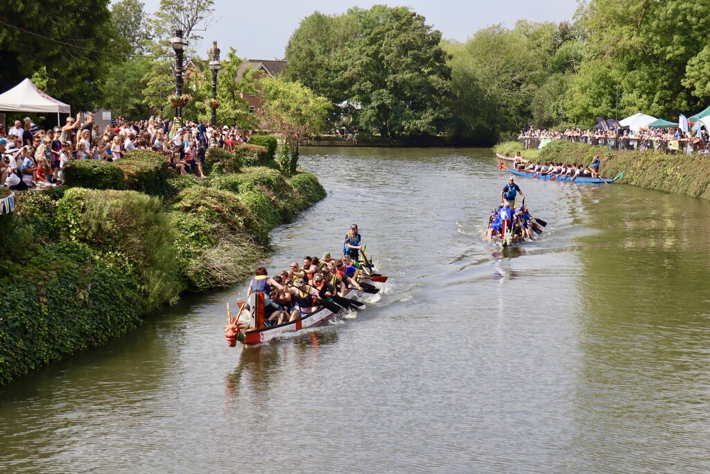 Dragon Boats by jeremyccc