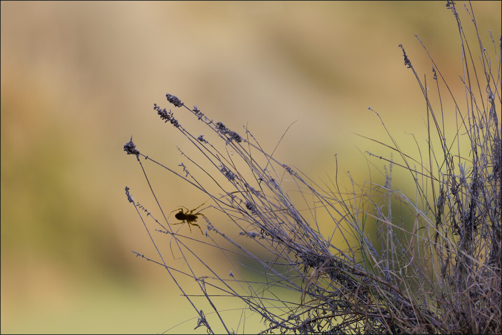 3 - End of Summer by marshwader