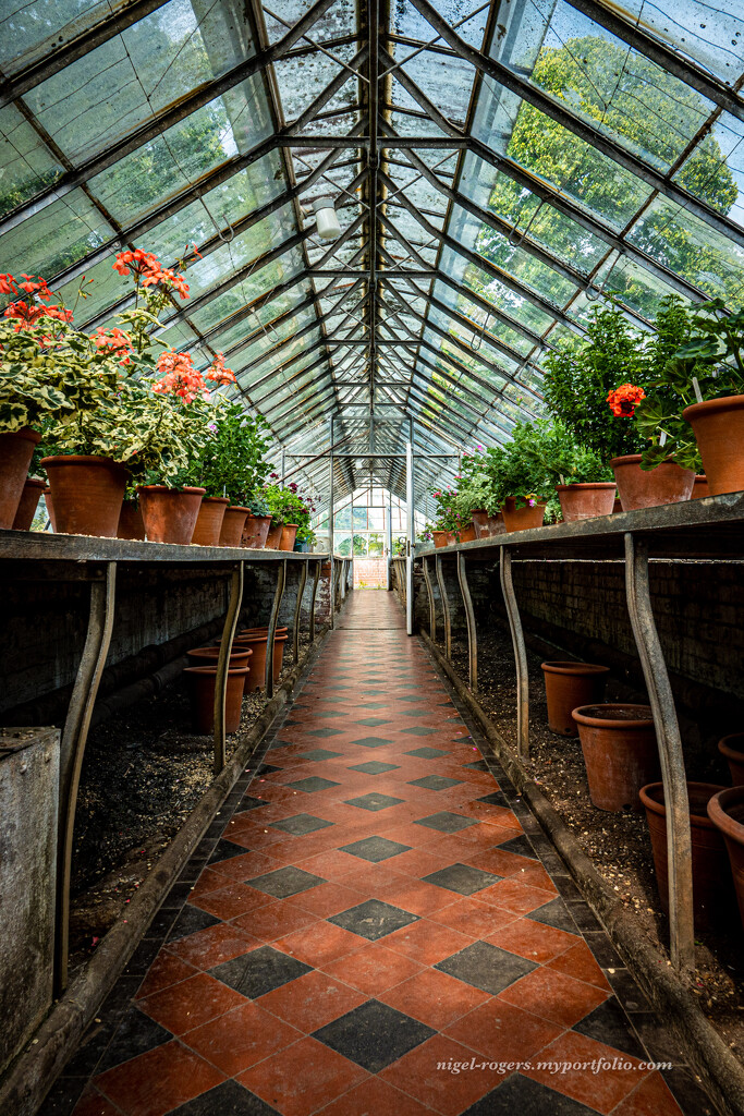 In the green house by nigelrogers
