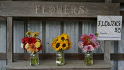 2nd Sep 2023 - Flower Stall
