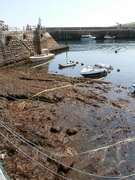 4th Sep 2023 - The Outer Harbour.....