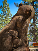 4th Sep 2023 - Tahoe Bears