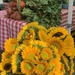 Farmers Market Finds by lisab514